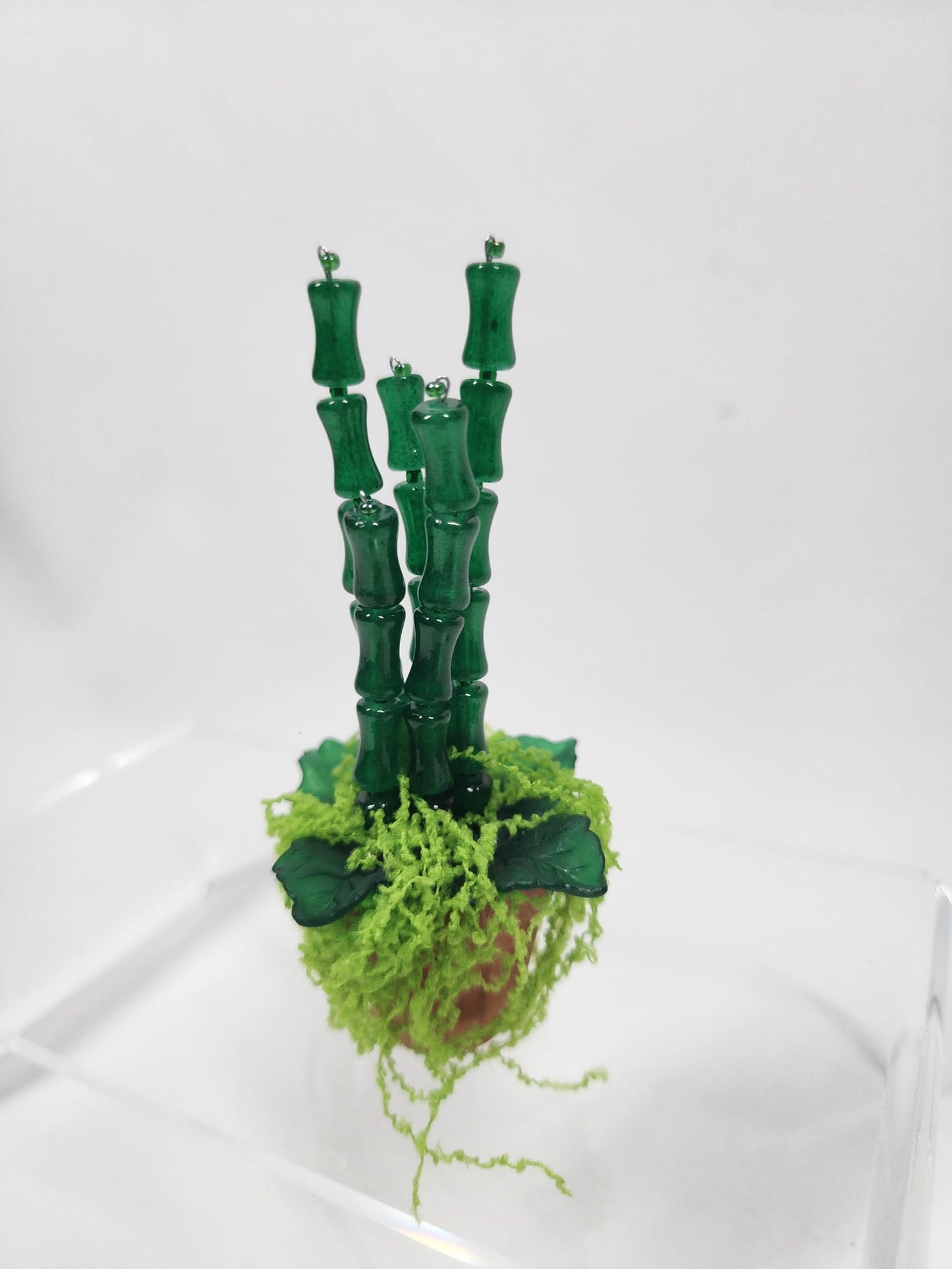 Evergreen Bamboo minis