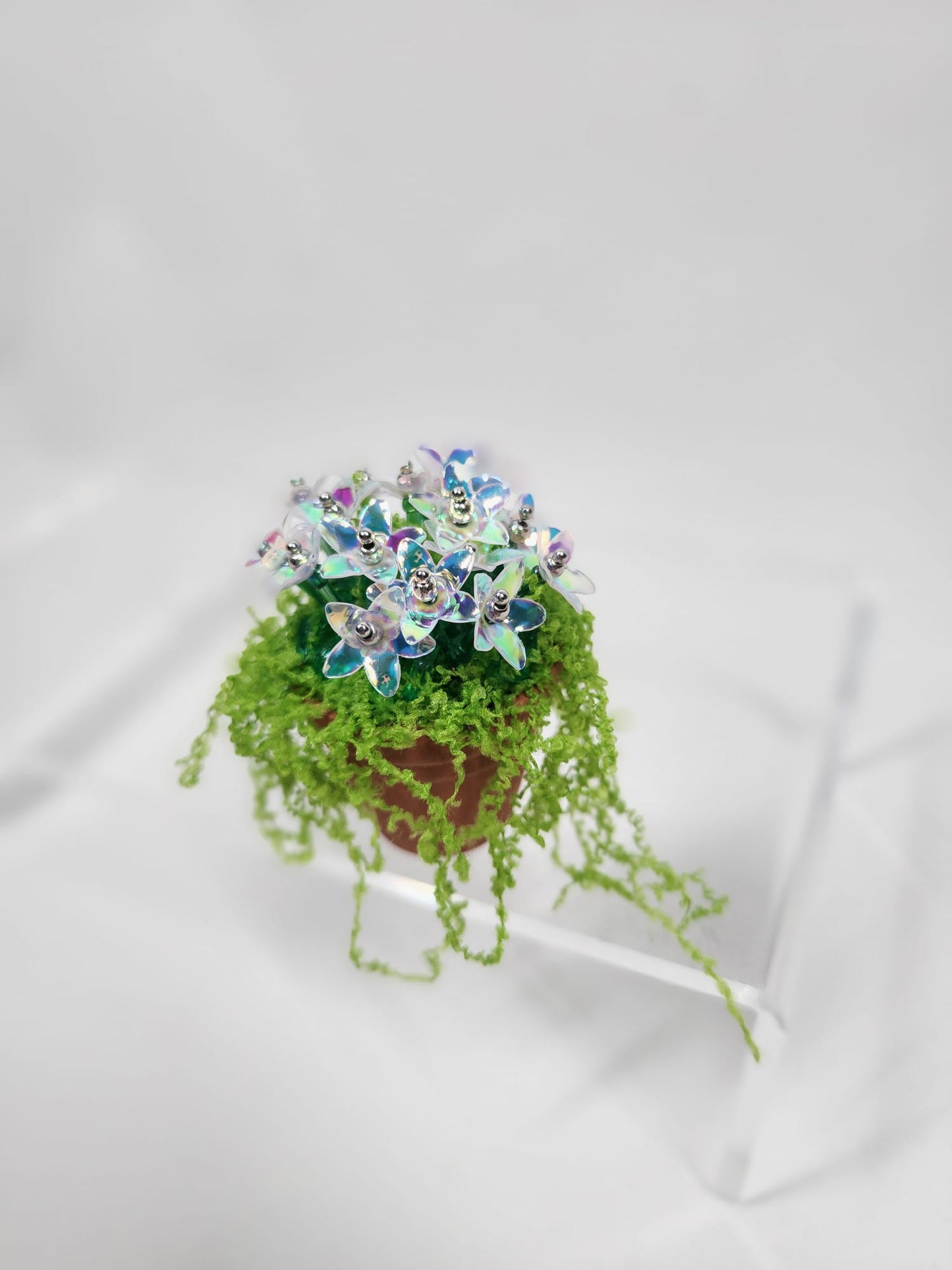 Evergreen Flower minis