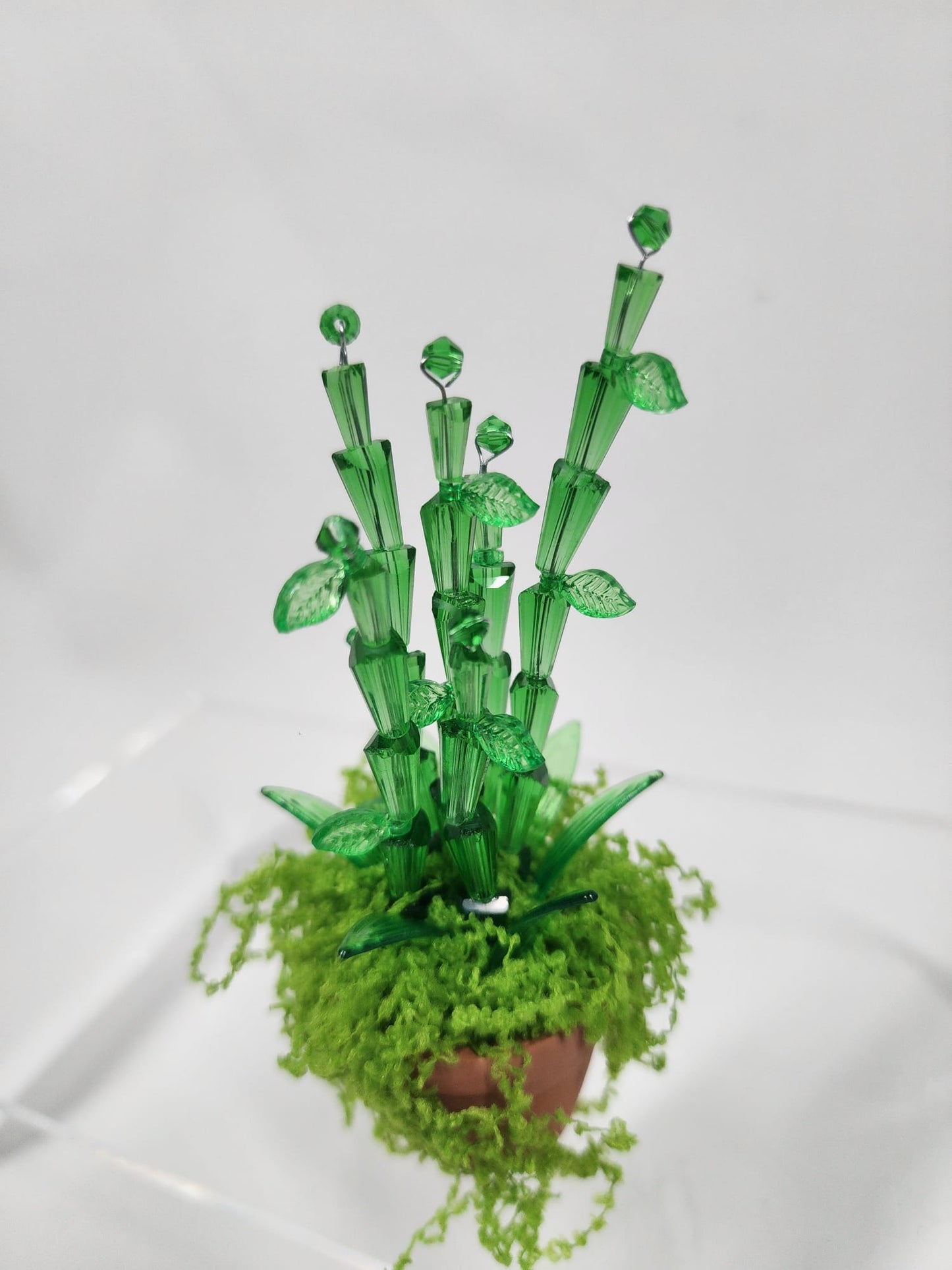 Evergreen Bamboo minis