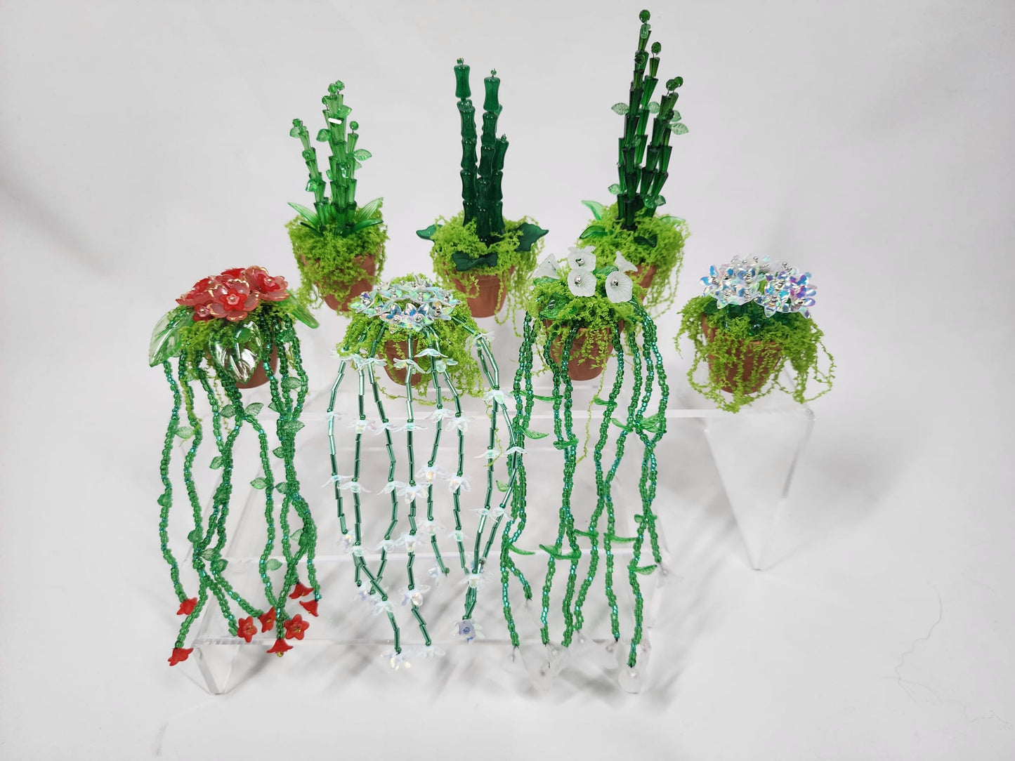 Evergreen Bamboo minis