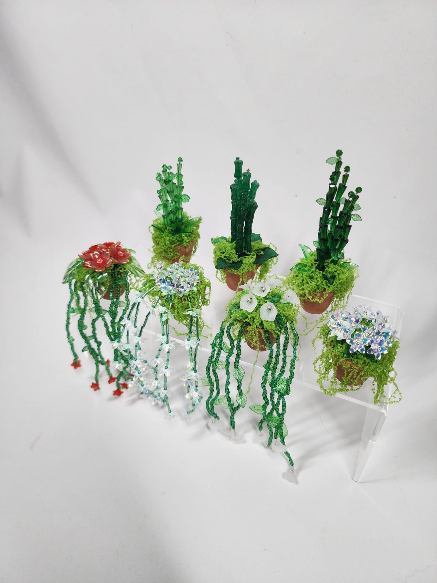 Evergreen Bamboo minis