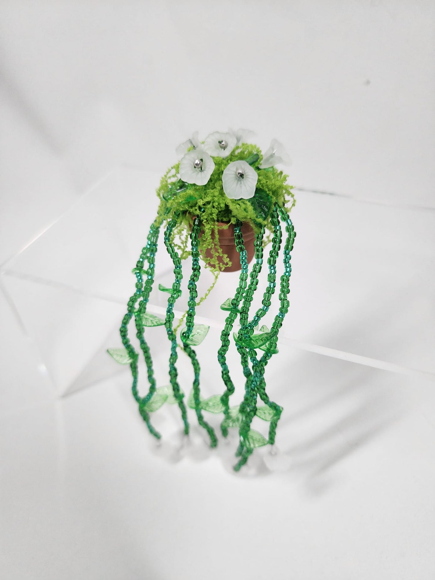 Evergreen Flower minis