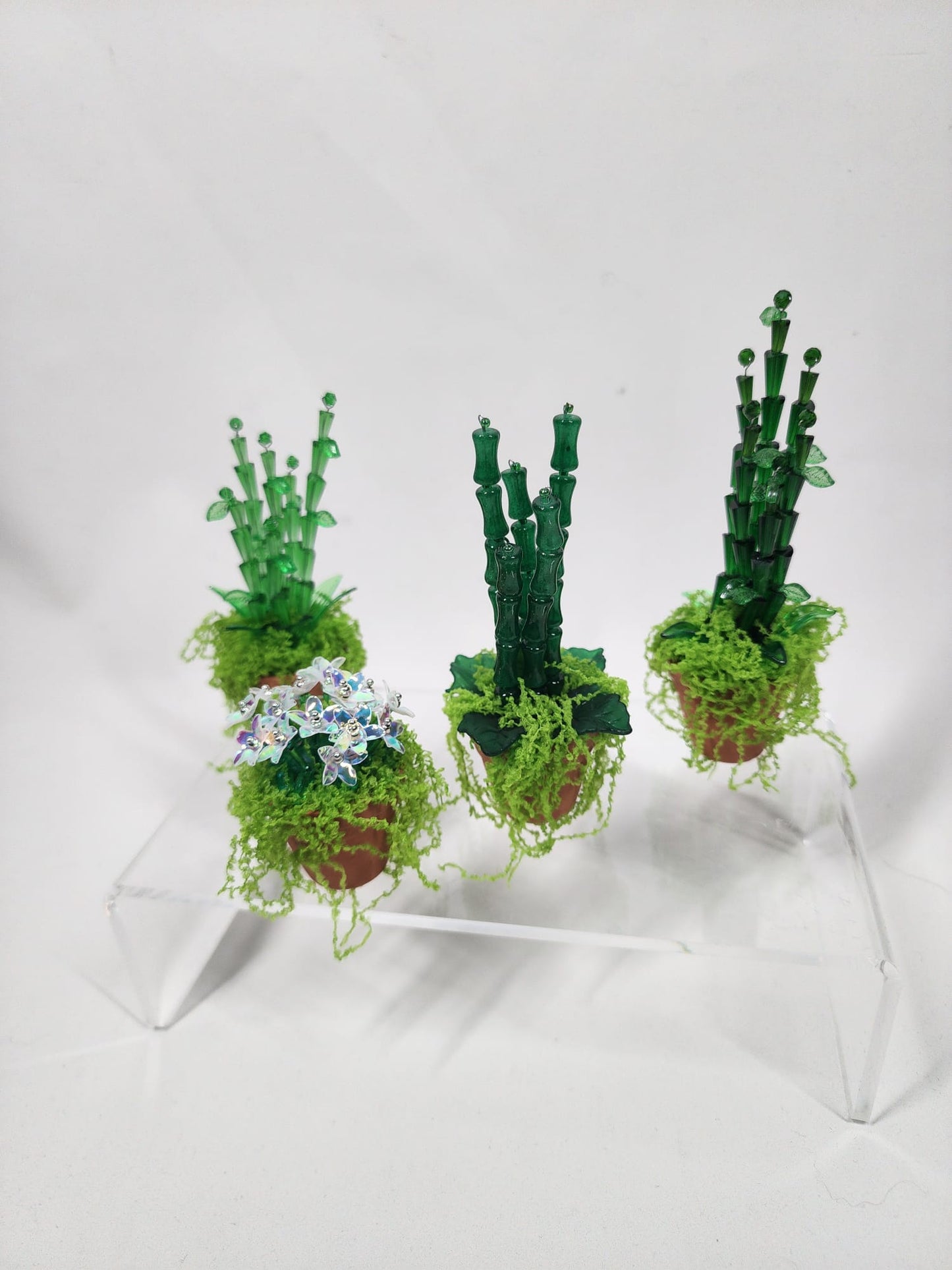 Evergreen Bamboo minis