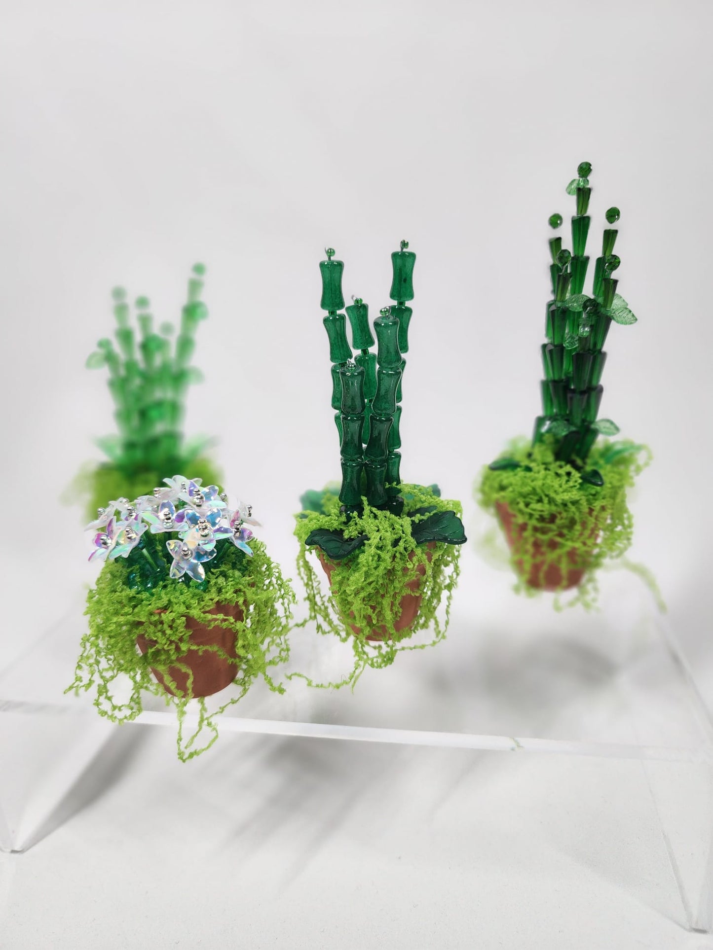 Evergreen Bamboo minis