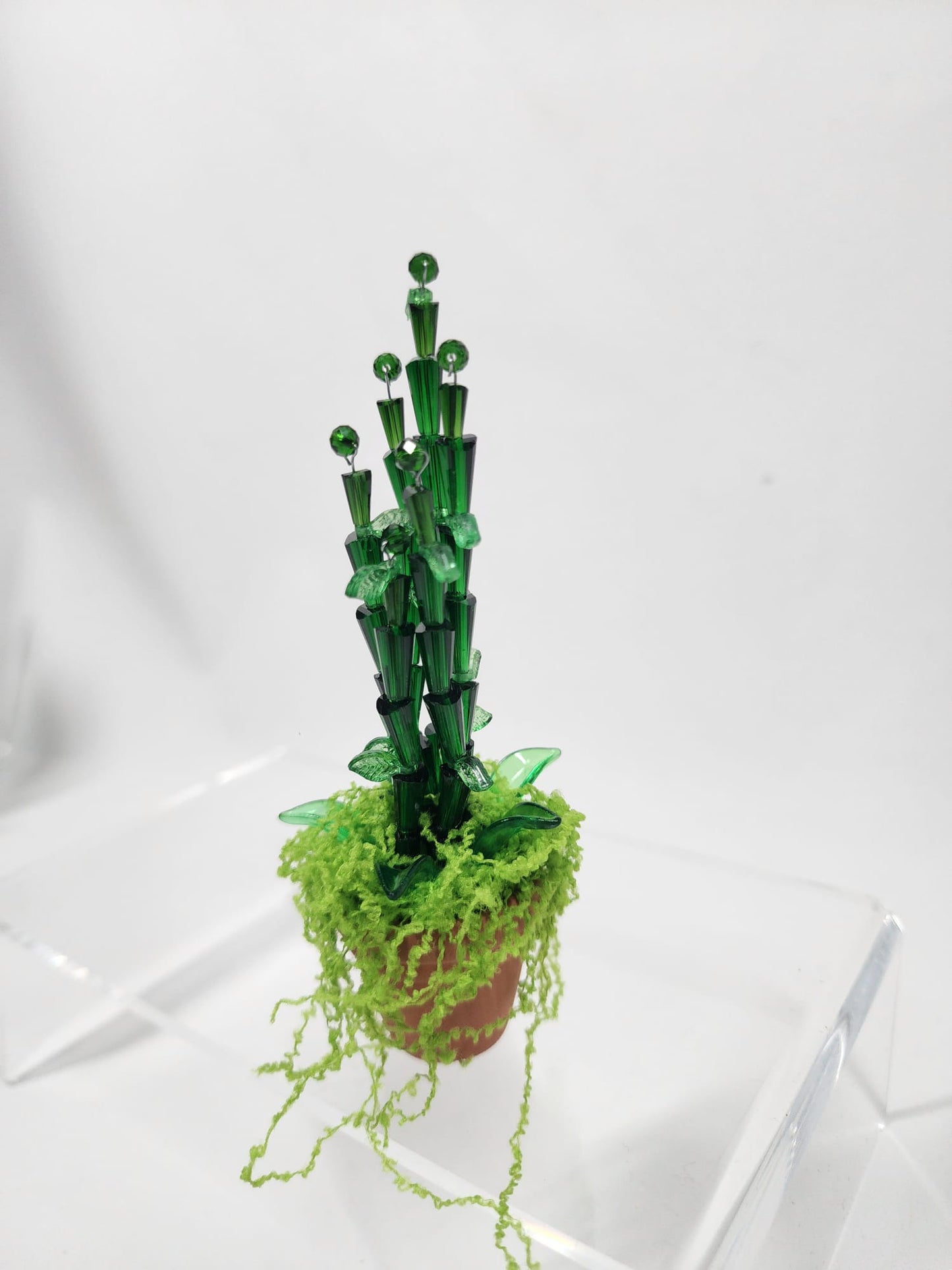 Evergreen Bamboo minis