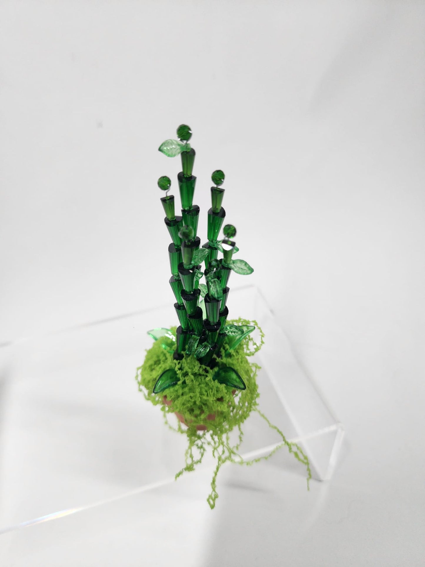 Evergreen Bamboo minis