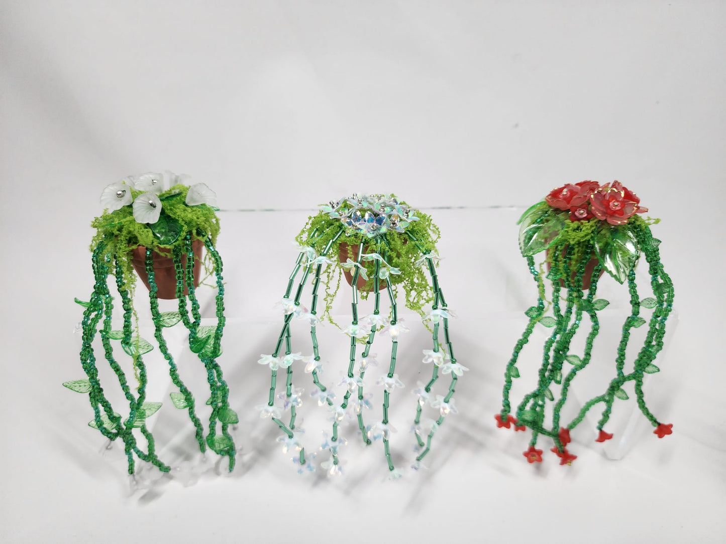 Evergreen Flower minis